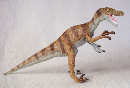 dinosaur-plastic-velociraptor-f668.jpg