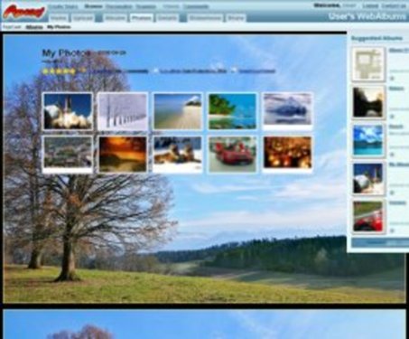 landscape_tree.jpg