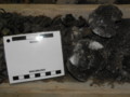 02_x10-01_b.jpg