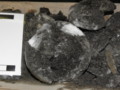 05_x10-01_e.jpg