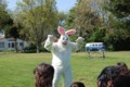 dsc_0667.jpg