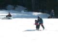 img_5293.jpg