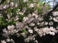 img_5542.jpg