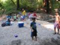 img_7341.jpg