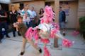 dsc_7246.jpg