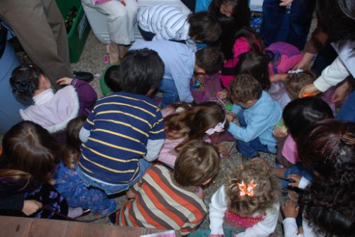 dsc_9232.jpg