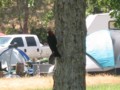 img_1595.jpg