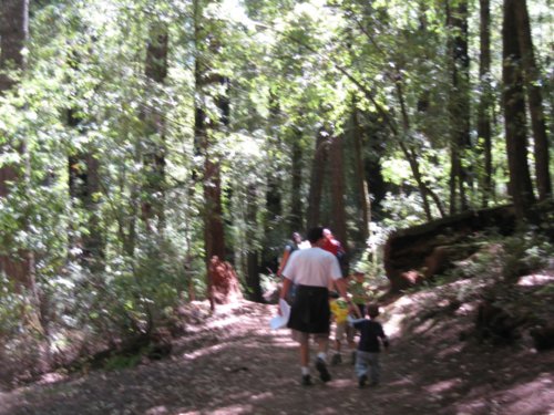 img_2217.jpg