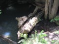 img_2187.jpg