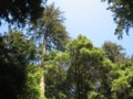 img_2218.jpg