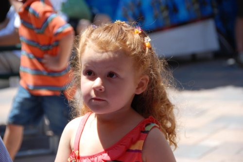 dsc_2879.jpg