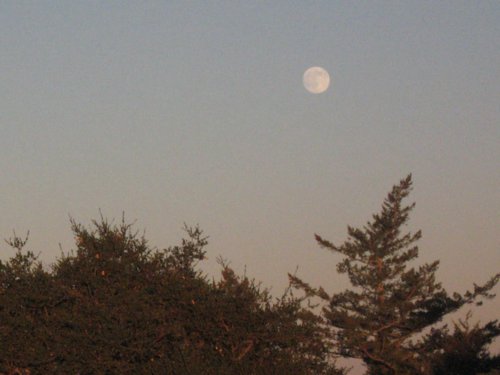 img_3764.jpg