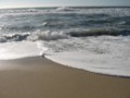 img_3613.jpg