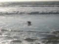 img_3713.jpg