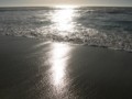 img_3724.jpg