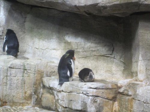 img_0562.jpg