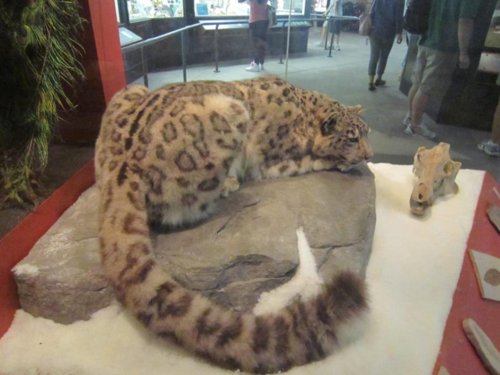 img_0680.jpg