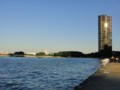 dsc01503.jpg