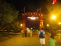 dsc01629.jpg