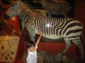 dsc02261.jpg