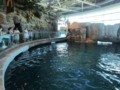 img_0526.jpg