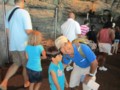 img_0528.jpg