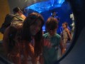 img_0584.jpg