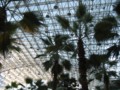 img_5804.jpg