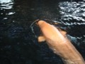 img_6222.jpg