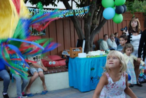 dsc_3576.jpg