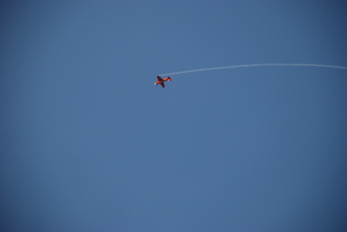 dsc_0036.jpg