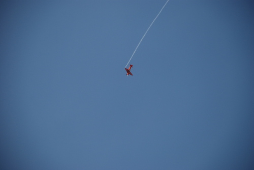 dsc_0037.jpg