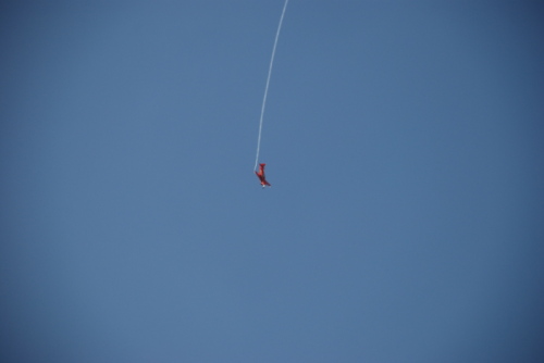dsc_0039.jpg