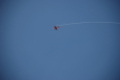 dsc_0036.jpg