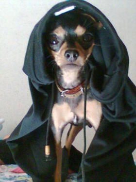 cachorro_das_trevas.jpg