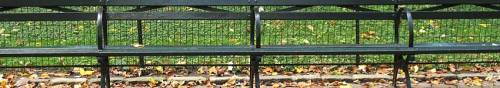 benches850.jpg