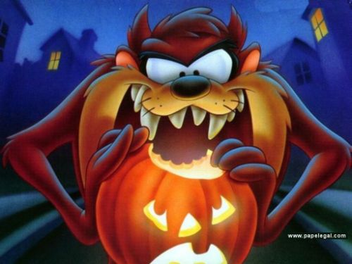 tazmania_holliday.jpg