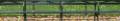 benches850.jpg