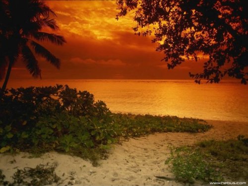 praia_2.jpg
