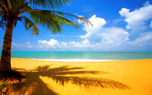 at-the-beach-hd-wallpaper-1920x1200.jpg