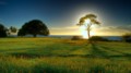 nature-hd-wallpaper-1080p.jpg