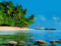 beach07800.jpg