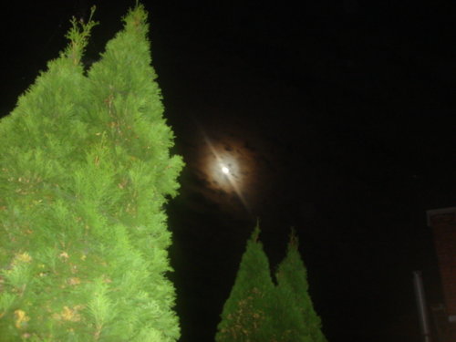 dsc00817.jpg