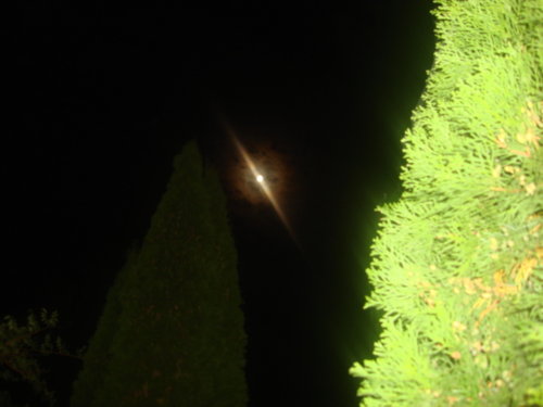dsc00818.jpg