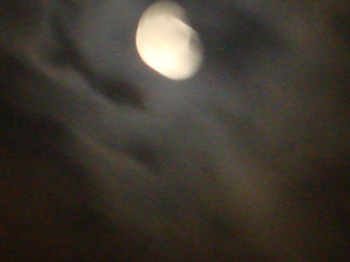 dsc00819.jpg