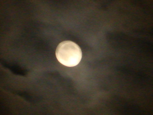 dsc00820.jpg