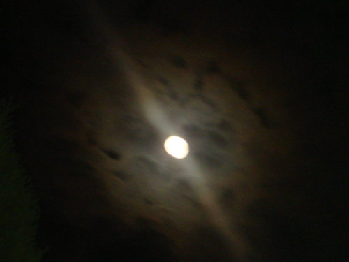 dsc00821.jpg