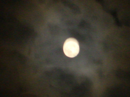 dsc00822.jpg