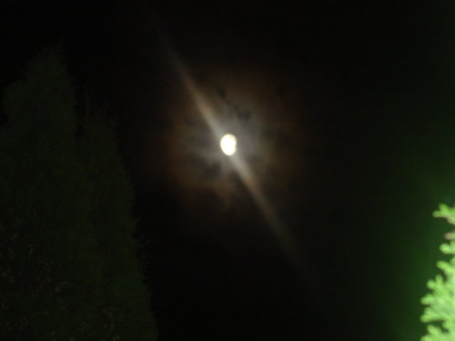 dsc00823.jpg