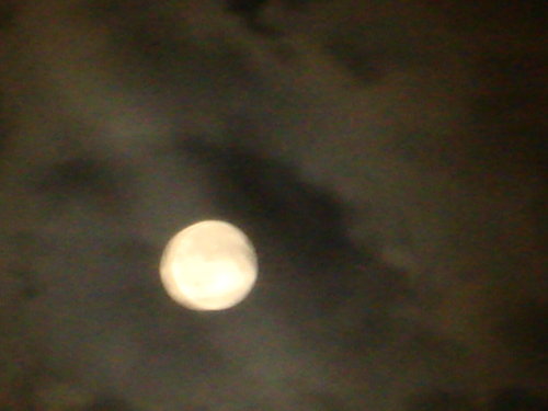 dsc00826.jpg
